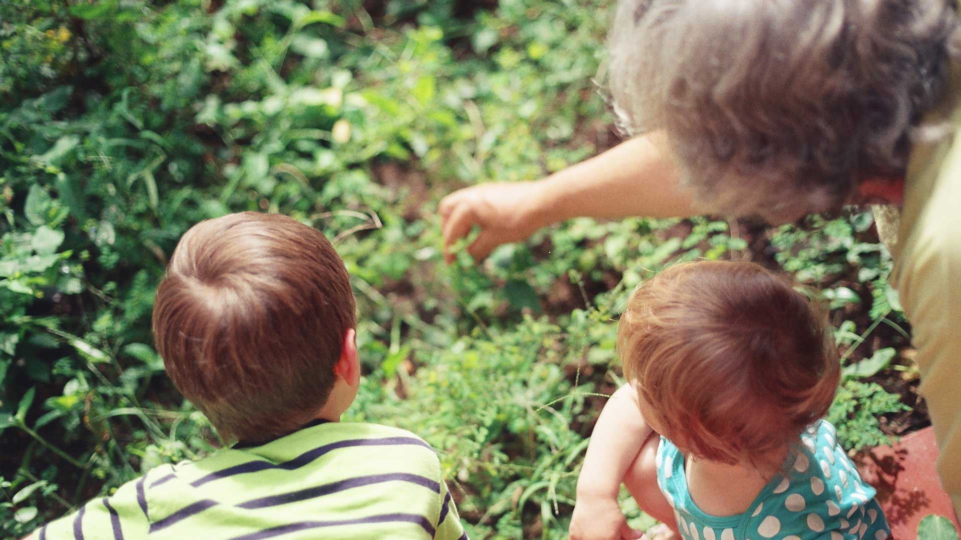 Grandparenting: Embracing a God-sized vision