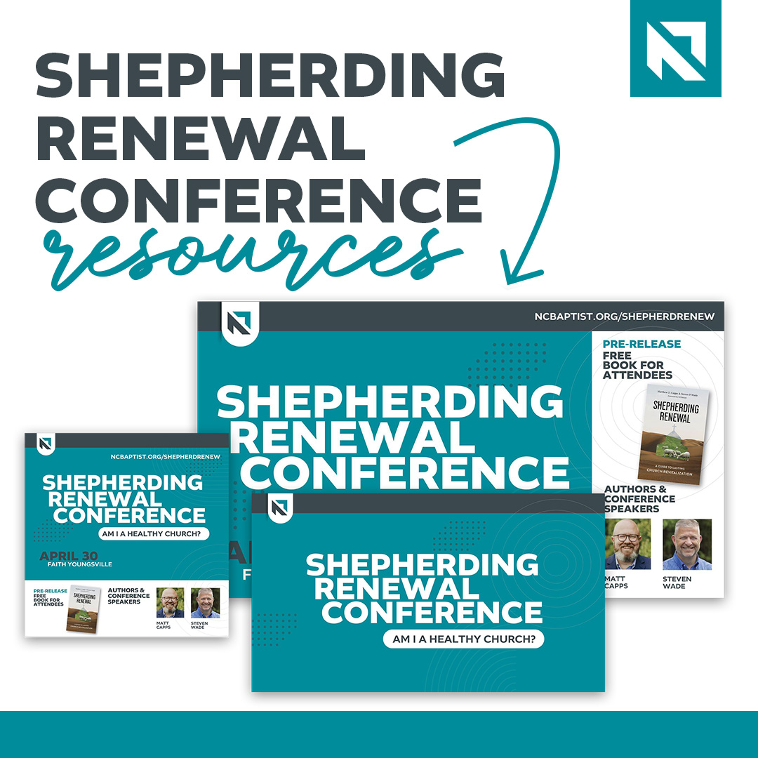 Image for Shepherding Renewal: Am I a Healthy Church?